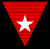 25 Year Ribbon (Fleet/Game)